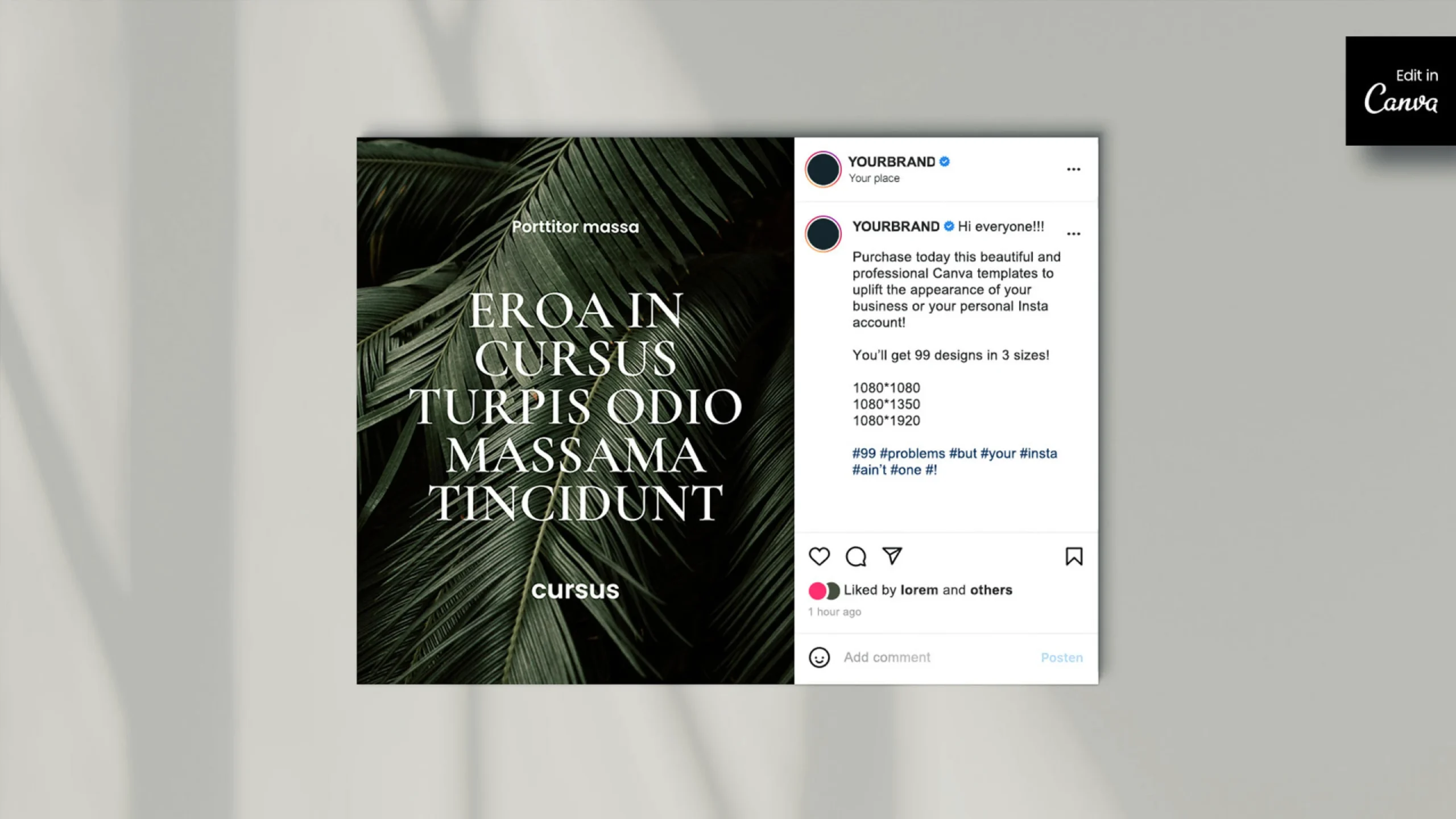 Portrait post details for Instagram