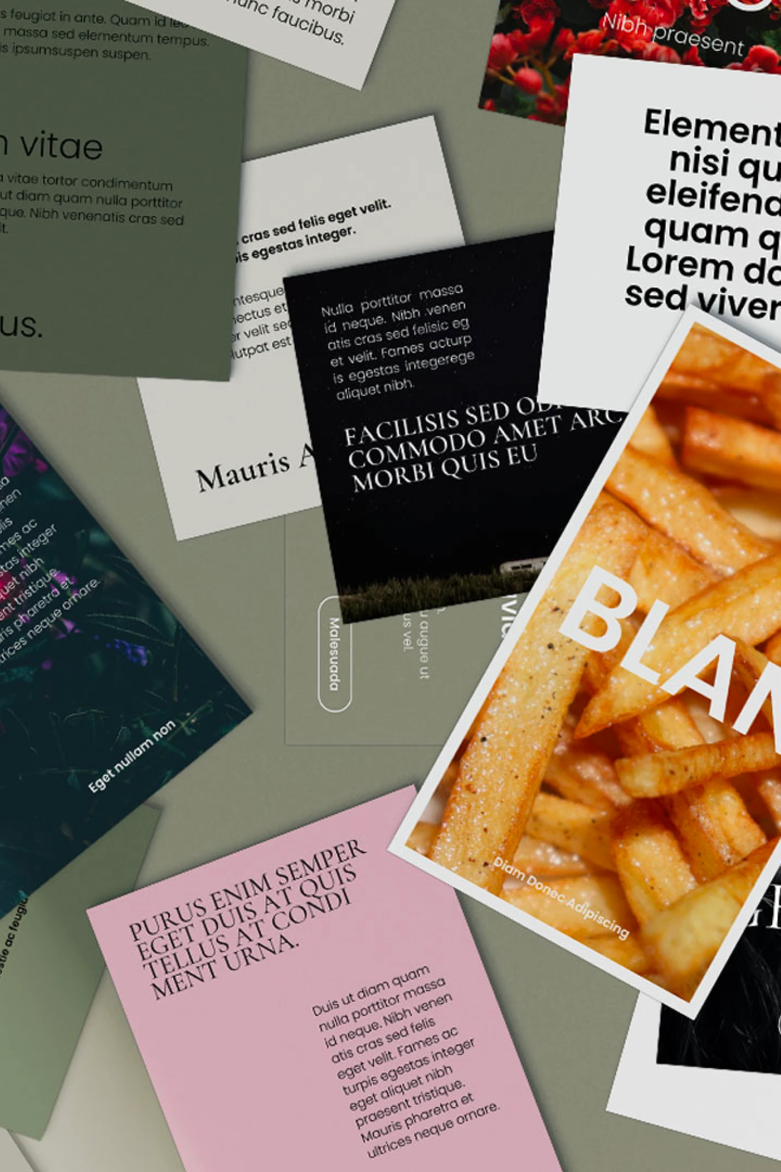 Social Kit